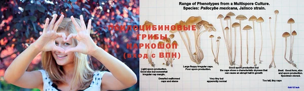 героин Арсеньев