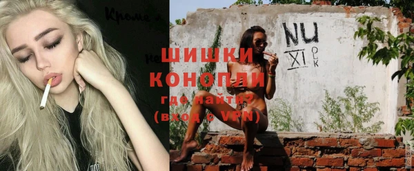 spice Аркадак